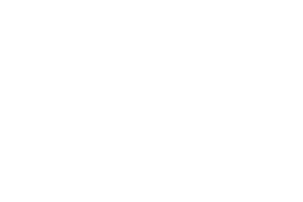 Susan Nilon signature